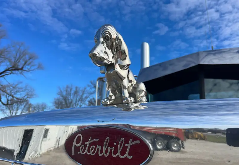 1990 Peterbilt 379 photo 17